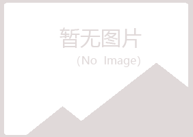 莱山区尔岚工程有限公司